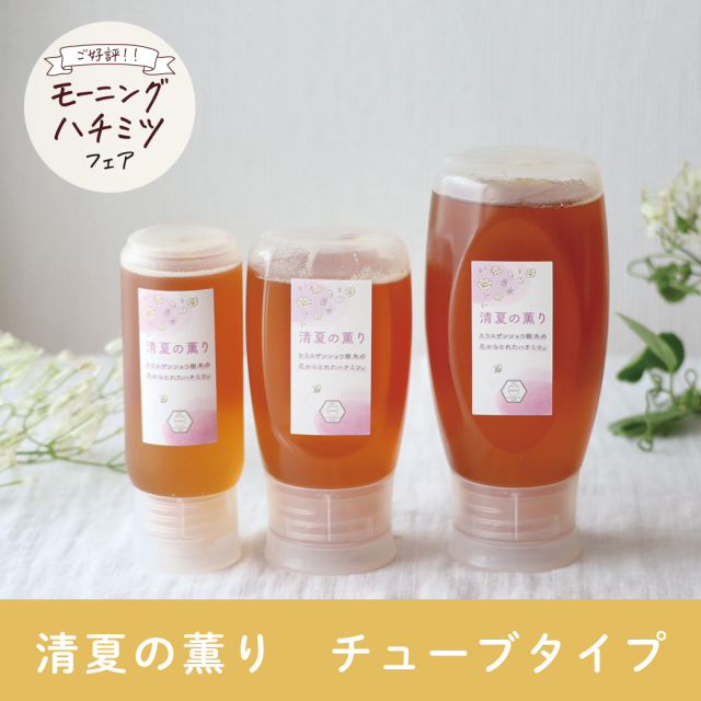 モーニングハチミツ_サムネ