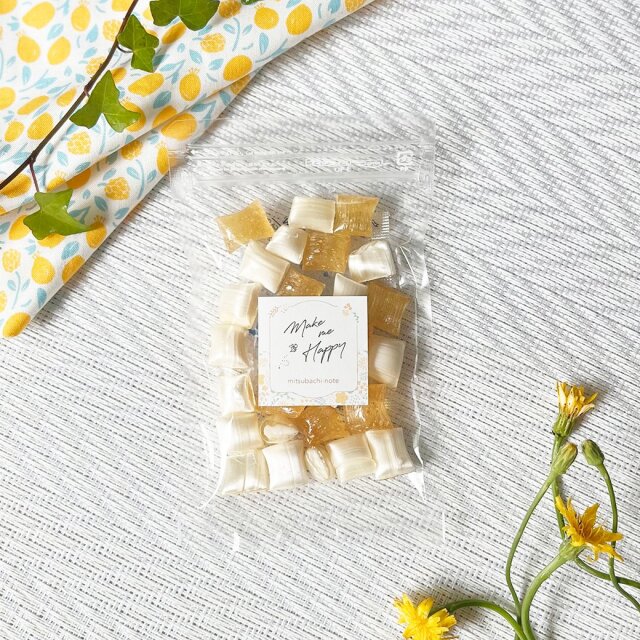ハンドメイド✨コラボ商品✨ハチミツタレタレ✨ジョウロサボちゃん 値引きする ハンドメイド✨コラボ商品✨ハチミツタレタレ✨ジョウロサボちゃん フラワー/ガーデン