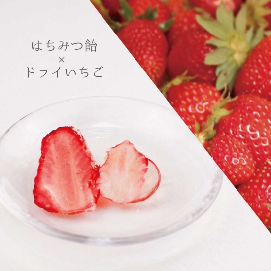 フルーツキャンディ いちごサンプル意味ない物 期間限定】スペシャルフルーツキャンディ（リンゴ・ イチゴ