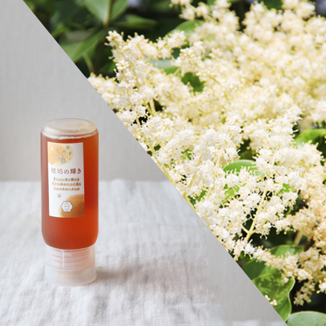 新蜜チューブ4種セット　2023年　琥珀の輝き