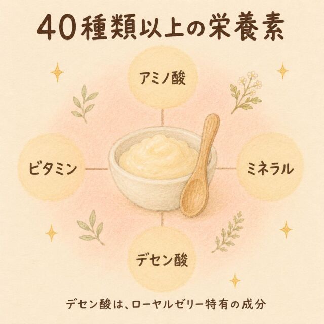 ローヤルゼリー定期便