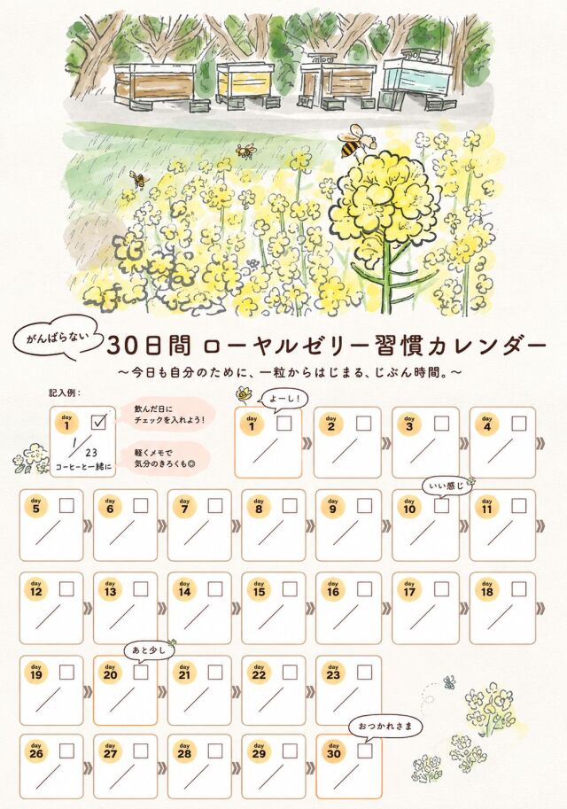 ローヤルゼリー定期便