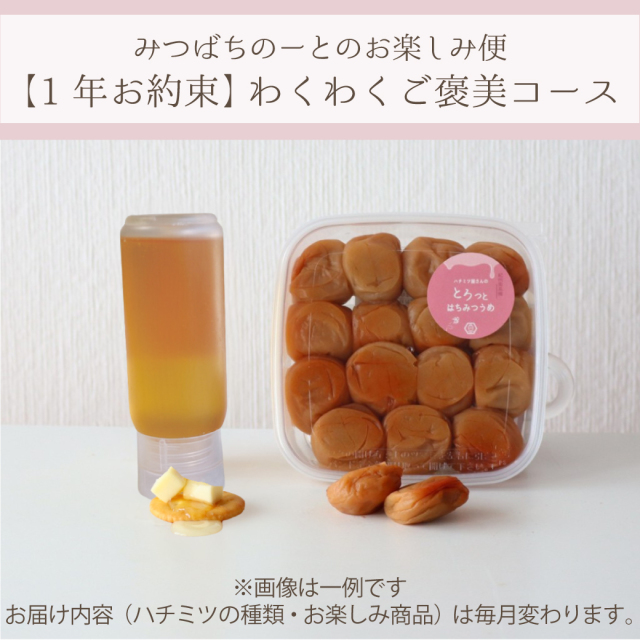 お楽しみ便　年間