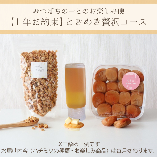 お楽しみ便　年間