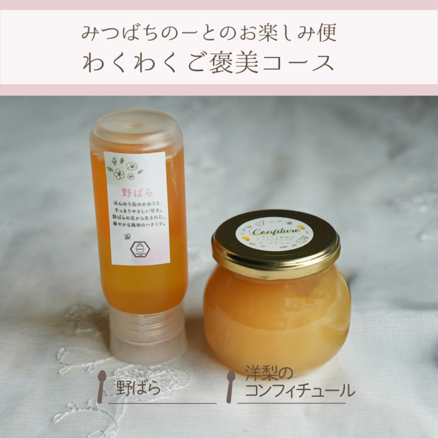 otanoshimibin お楽しみ便