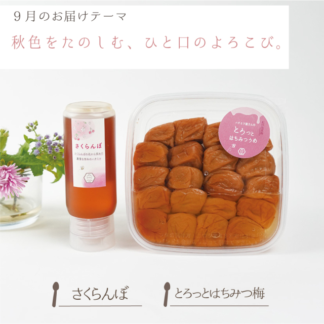 みつばちゆっち♪木箱の発送時間かかります お楽しみ便】わくわくご褒美コース（2点お届け） みつばちのーと