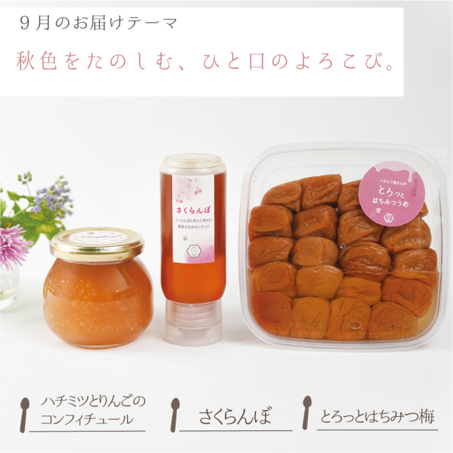 Kiyon　ハチミツ・巣蜜 楽天市場】【国産巣蜜300g】巣蜜 コムハニー国産 蜂蜜 ハチミツ