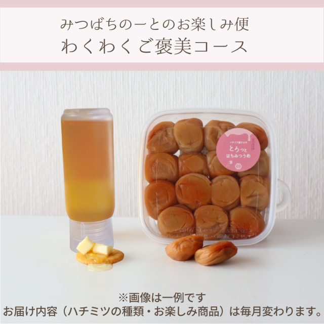 お楽しみ便