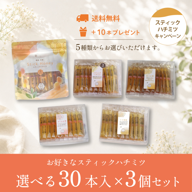 スティックハチミツCP 2026 サムネ