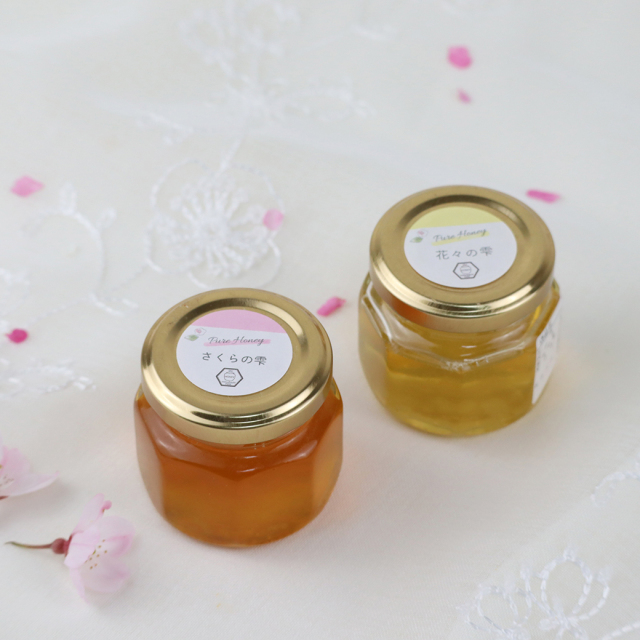 小さなハチミツ春ギフト　花々＆さくら