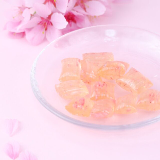 さくらカフェセット　2024年2月