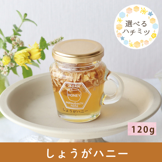 ハチミツ漬け みつばちのーと