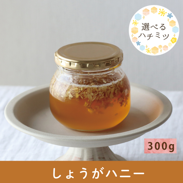 2026年7月 選べるハチミツCP しょうが