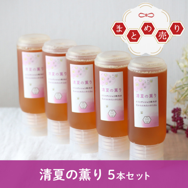 チューブまとめ売り　2024年