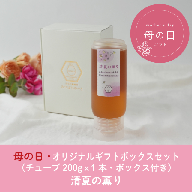 チューブ 清夏の薫り オリジナルボックス