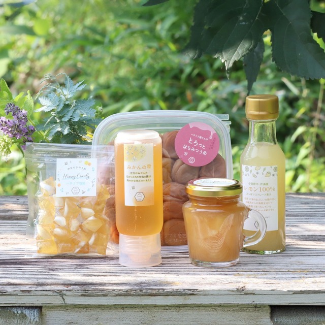 数量限定】みかんと爽やかハニーセット みつばちのーと