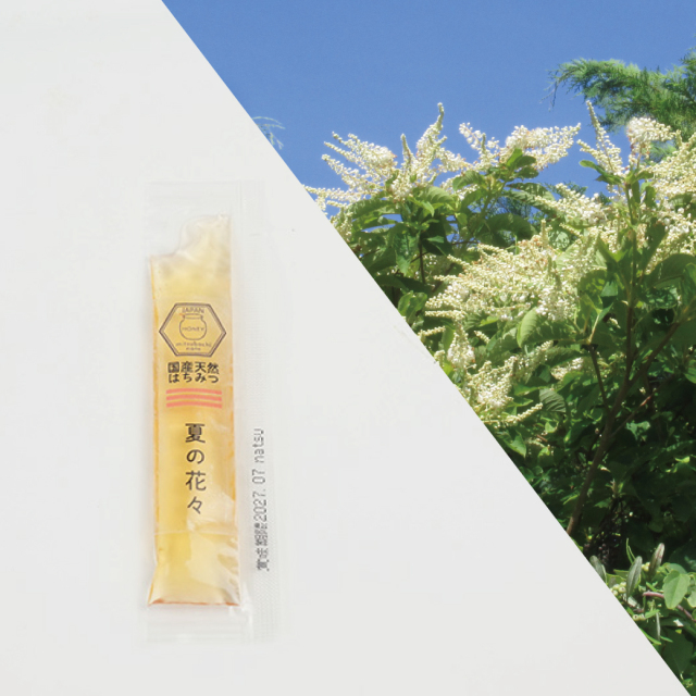 夏の花々 スティック 味