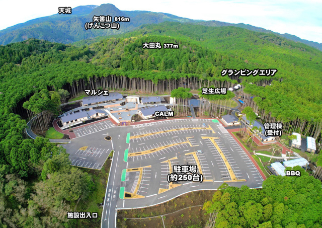 採蜜体験