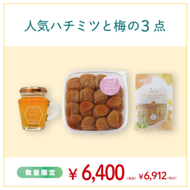 2026年 夏の特選セット