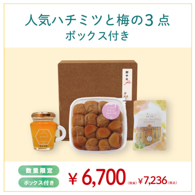 2026年 夏の特選セット