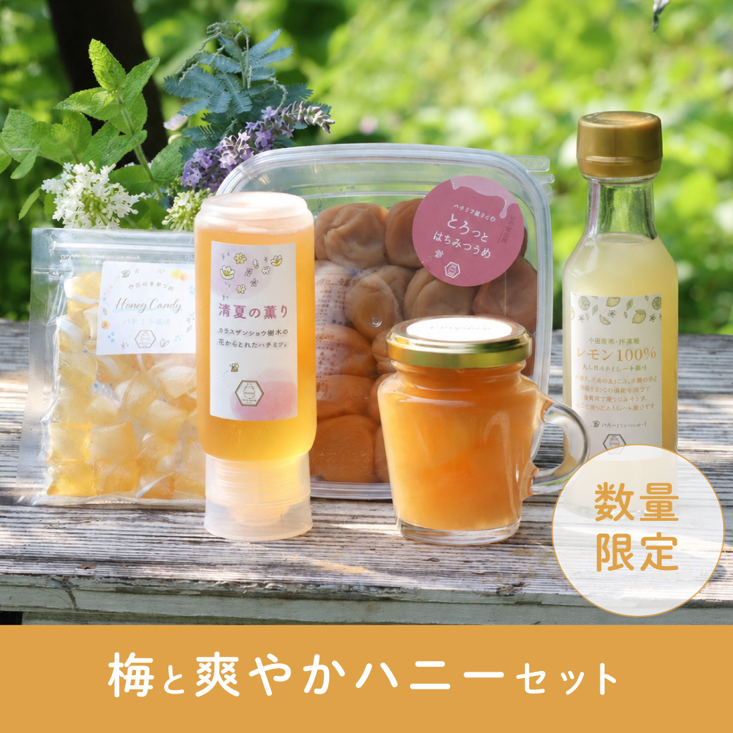 梅と爽やかハニーセット トップ