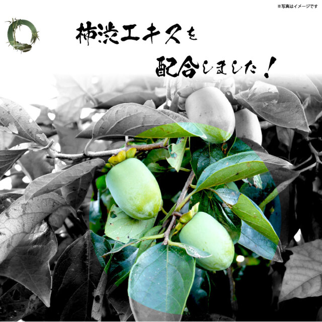 10個セット】柿渋石鹸 男のたしなみ（100g）【送料無料】