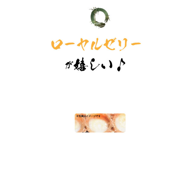 10個セット】柿渋石鹸 男のたしなみ（100g）【送料無料】