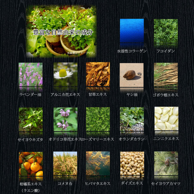 初回限定お試しセット アジアン伝承リモアシャンプー Re More 300ml 送料無料