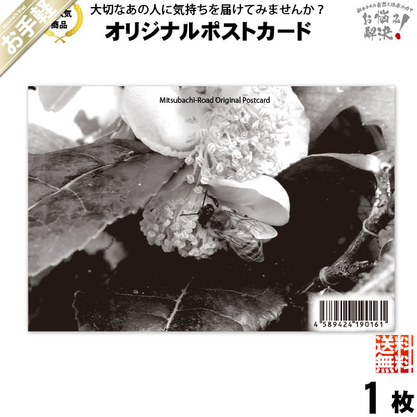 お手軽 ポストカード 茶の花と共に 100 148mm 送料無料