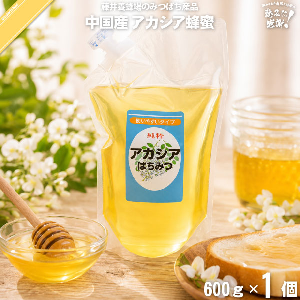 【終売】中国産アカシアはちみつ 詰替用 袋入（1kg）【5250円以上で送料無料】