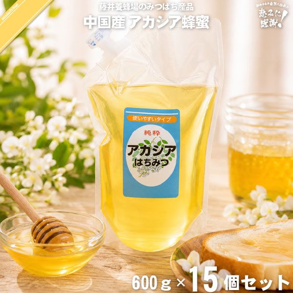 【終売】【15個セット】中国産アカシアはちみつ 詰替用 袋入（1kg）【送料無料】