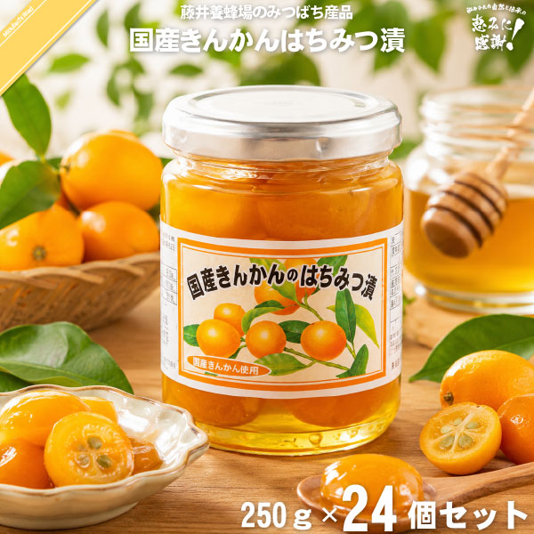 【24個セット】国産きんかんのはちみつ漬 （250g）【送料無料】
