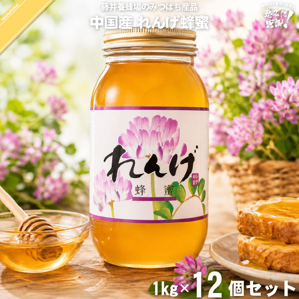 【12個セット】中国産レンゲはちみつ 瓶入（1kg）【送料無料】