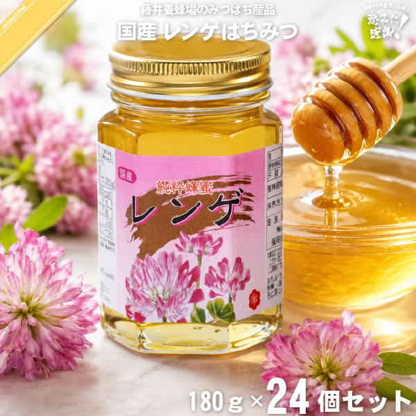 【24個セット】国産レンゲはちみつ 瓶入 （180g）【送料無料】