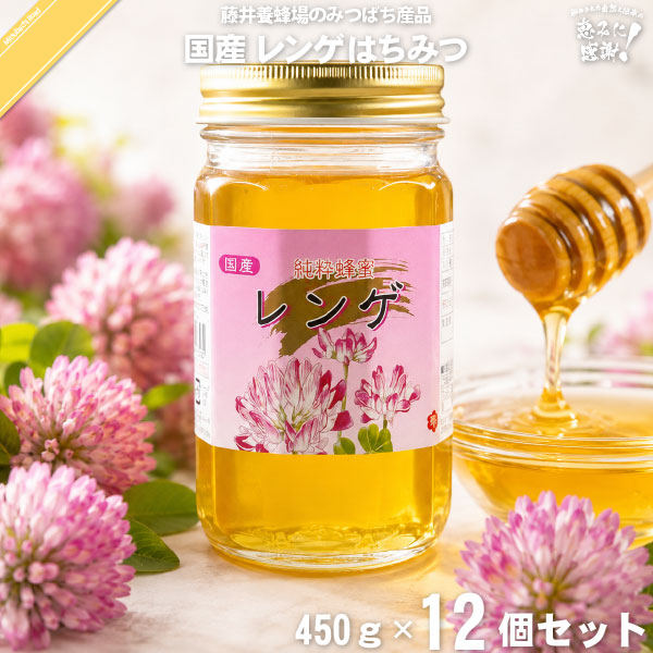 【12個セット】国産レンゲはちみつ 瓶入 （450g）【送料無料】