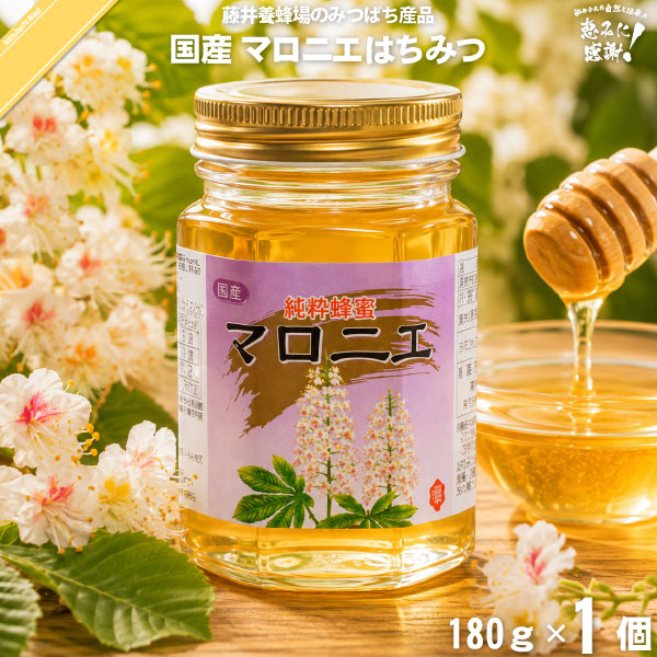 国産マロニエはちみつ 瓶入 （180g）【5250円以上で送料無料】
