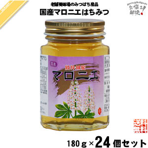 【24個セット】国産マロニエはちみつ 瓶入 （180g）【送料無料】