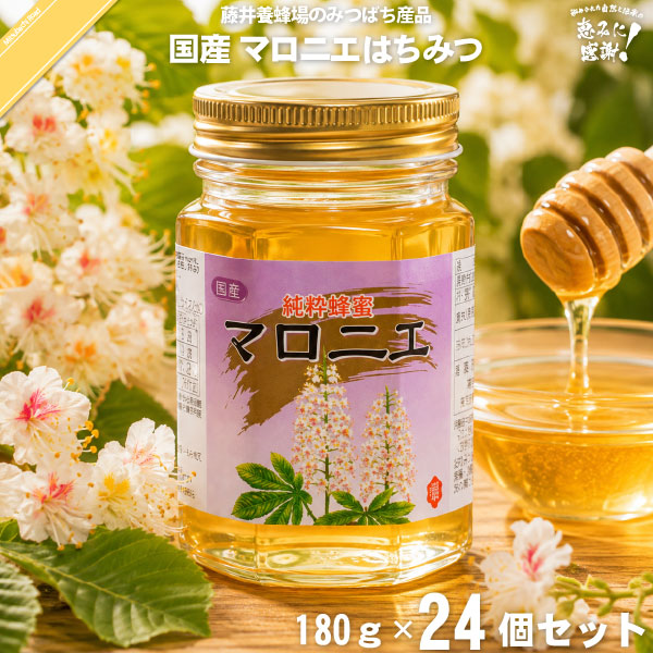 【24個セット】国産マロニエはちみつ 瓶入 （180g）【送料無料】