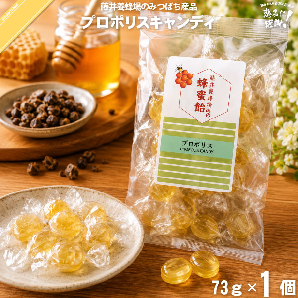 プロポリスキャンディー （73g）【5250円以上で送料無料】