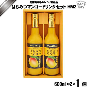 はちみつマンゴードリンクセット HM2 （600ml×2）【化粧箱】【5250円以上で送料無料】