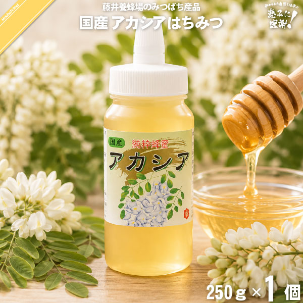 国産アカシアはちみつ ポリ容器 （250g）【5250円以上で送料無料】