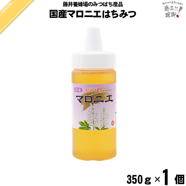 国産マロニエはちみつ ポリ容器 （350g）【5250円以上で送料無料】
