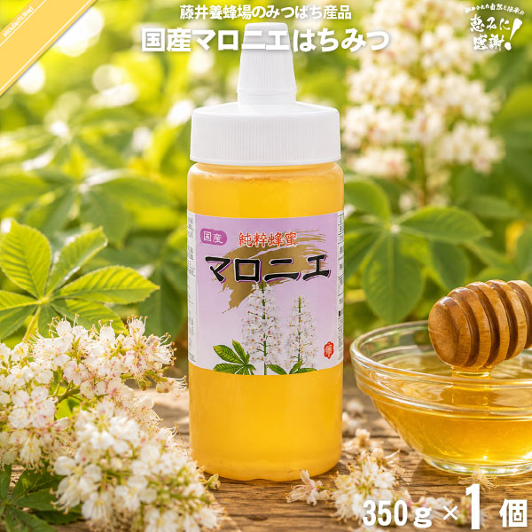 国産マロニエはちみつ ポリ容器 （350g）【5250円以上で送料無料】