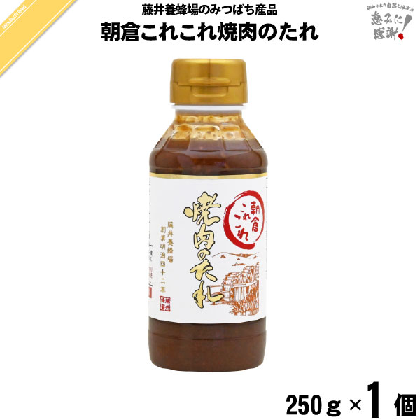 朝倉これこれ焼肉のたれ （250g）【5250円以上で送料無料】