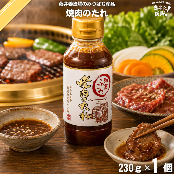 朝倉これこれ焼肉のたれ （250g）【5250円以上で送料無料】