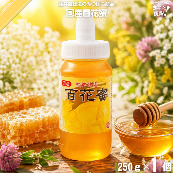 国産百花蜜 ポリ容器 （350g）【5250円以上で送料無料】