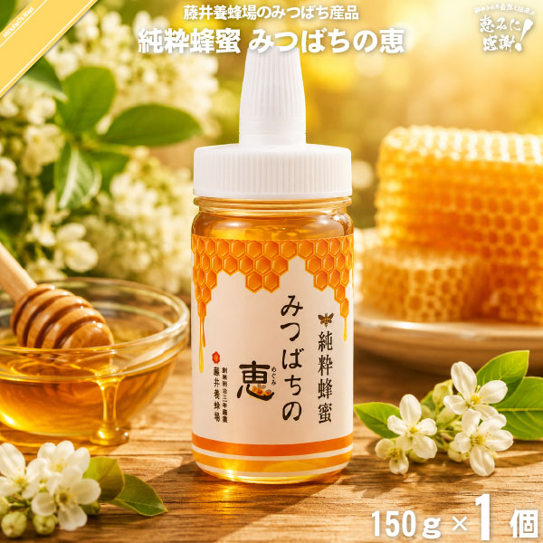 純粋蜂蜜 みつばちの恵 ポリ容器 （150g）【5250円以上で送料無料】
