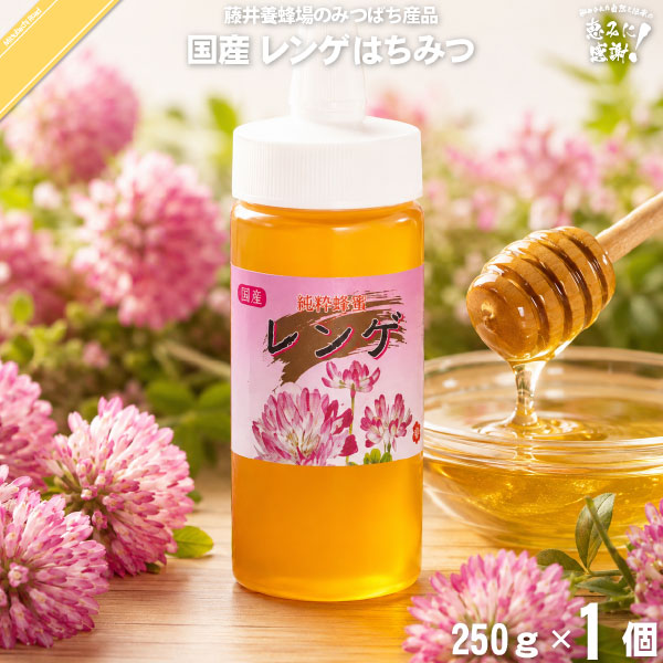 国産レンゲはちみつ ポリ容器 （250g）【5250円以上で送料無料】