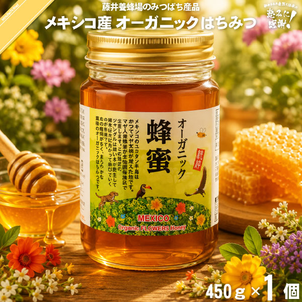 メキシコ産 オーガニック はちみつ 瓶入 （450g）【5250円以上で送料無料】
