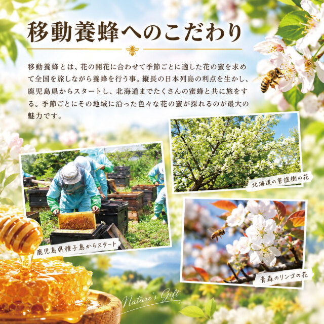 国産 生ローヤルゼリー （100g）【送料無料】